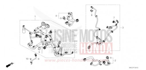 SUB HARNESS GL1800DAN de 2022